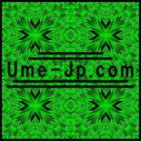  『隠れている像』　Ste_Ume-Jp.com 